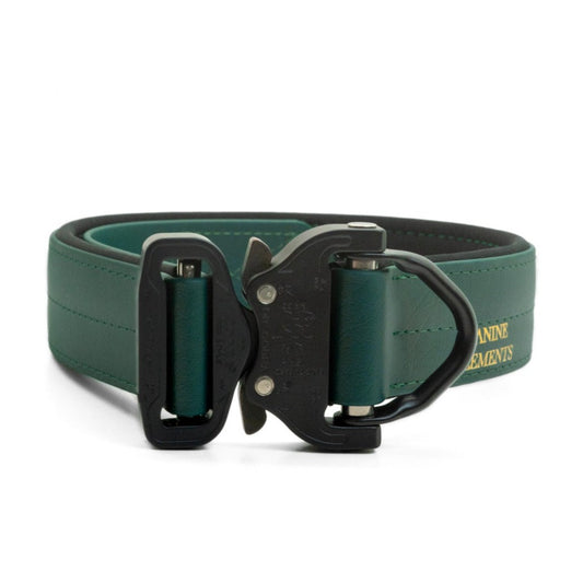 SAFETY Pro dog collar - LUCCA 